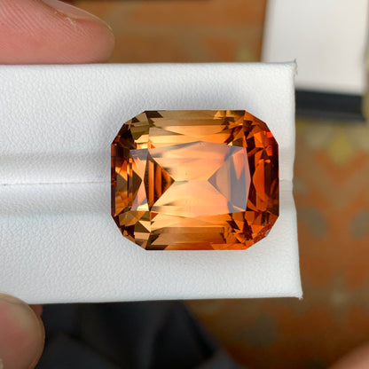 Big Size Topaz Bicolor