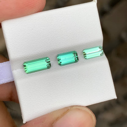 2.80 Carats Green Tourmaline Pieces