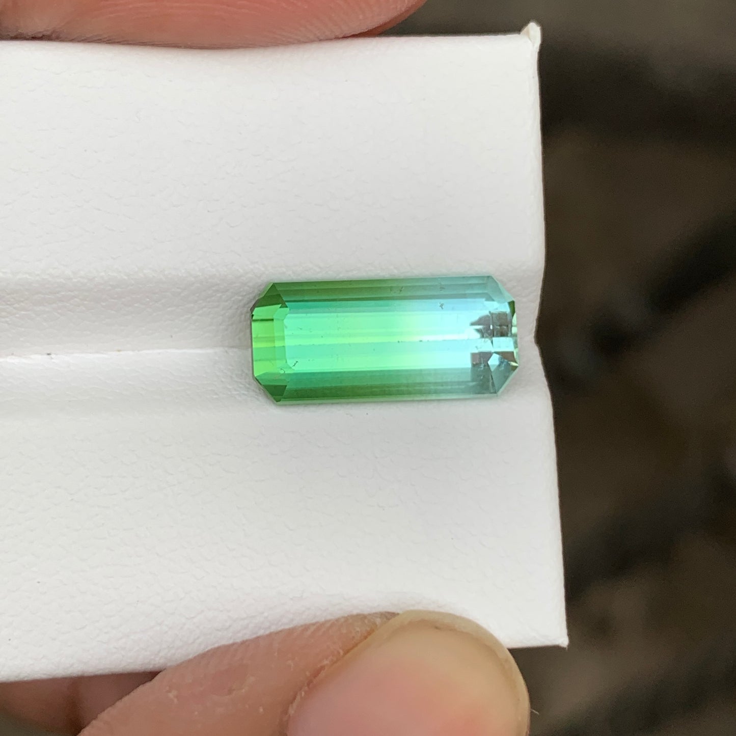 3.65 Carats Bicolor Seafoam Green Tourmaline