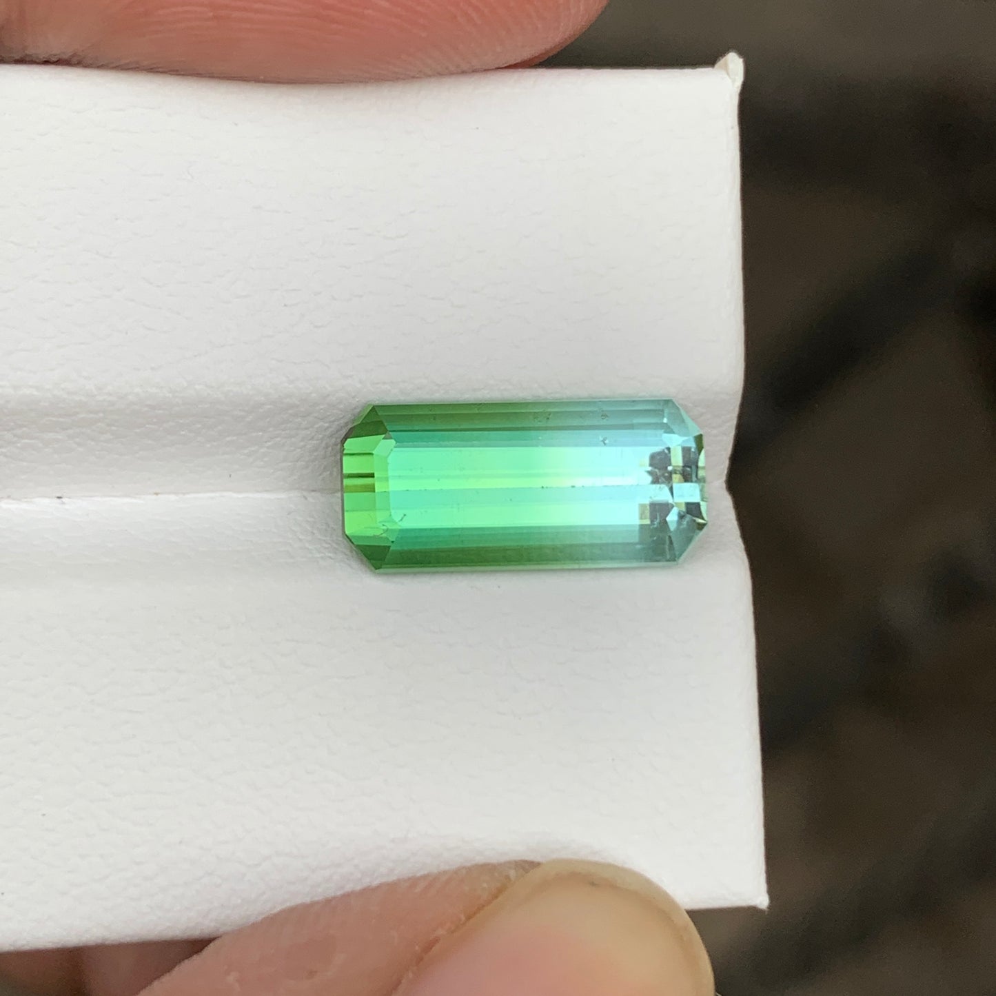 3.65 Carats Bicolor Seafoam Green Tourmaline