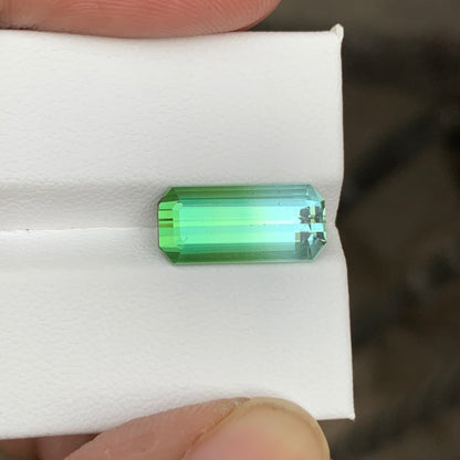 3.65 Carats Bicolor Seafoam Green Tourmaline