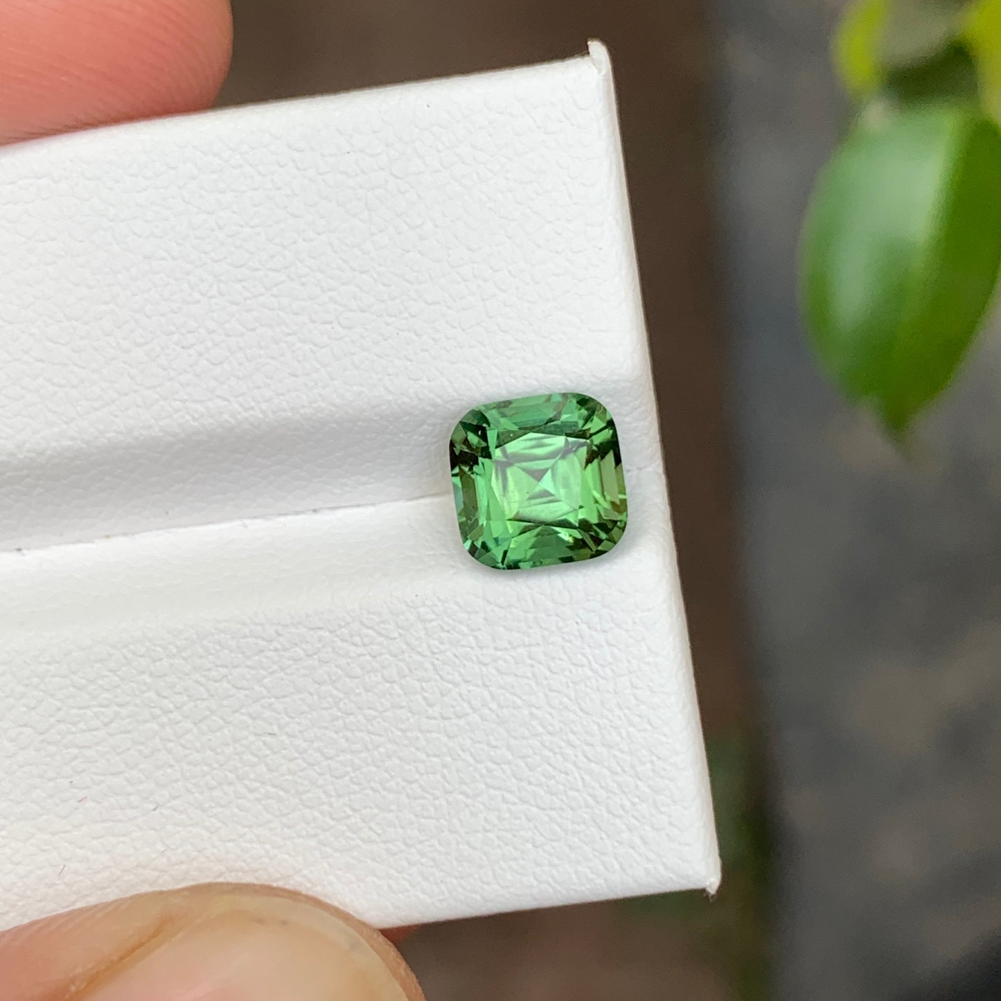 2.10 Carats Green Tourmaline Cushion Cut