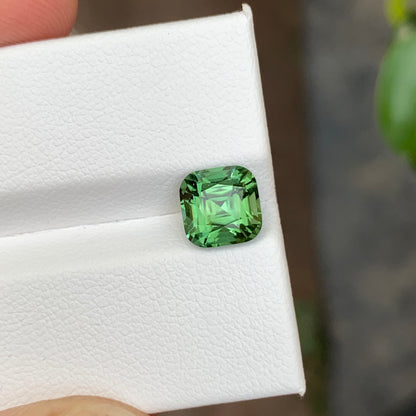 2.10 Carats Green Tourmaline Cushion Cut