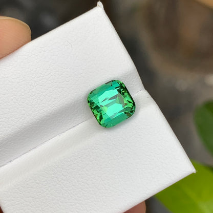 Bluish Green Tourmaline