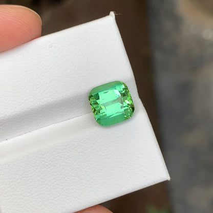 3.50 Carats Mint Green Tourmaline