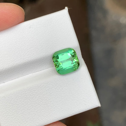 Mint Green Tourmaline