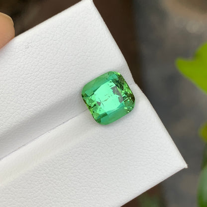 Mint Green Tourmaline