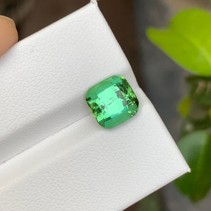 3.50 Carats Mint Green Tourmaline