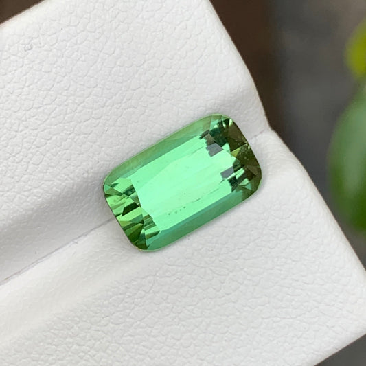 Green Tourmaline Long Cushion