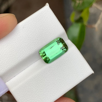 Green Tourmaline Long Cushion