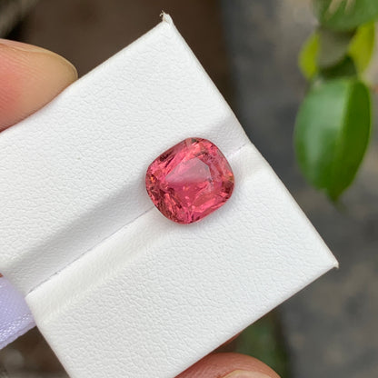 Pink Tourmaline Stone