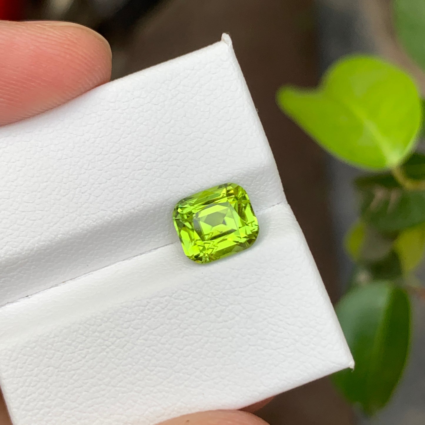 Loose Peridot Cushion Cut