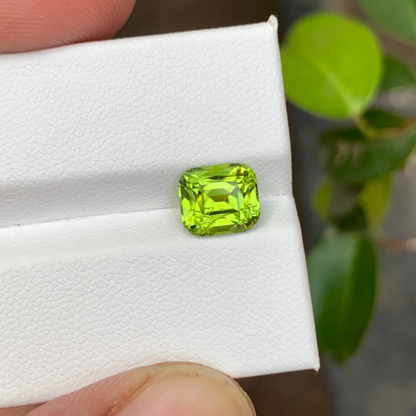 Loose Peridot Cushion Cut
