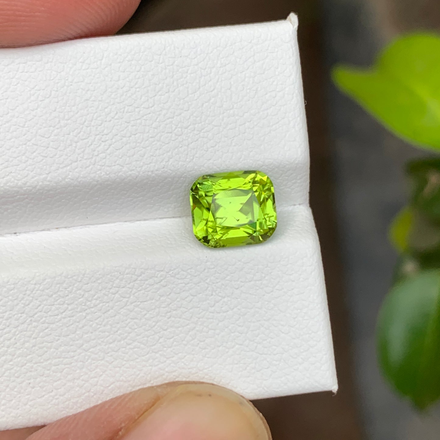 Loose Peridot Cushion Cut
