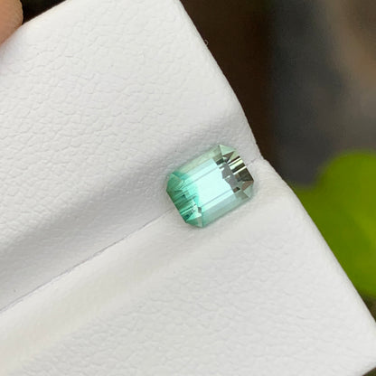 Bicolor Tourmaline Stone