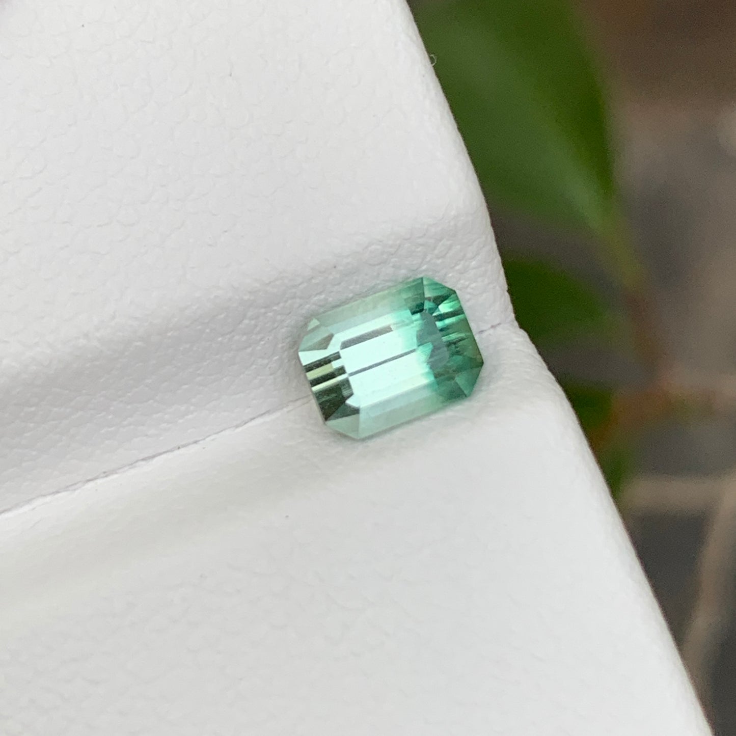 Bicolor Tourmaline Stone