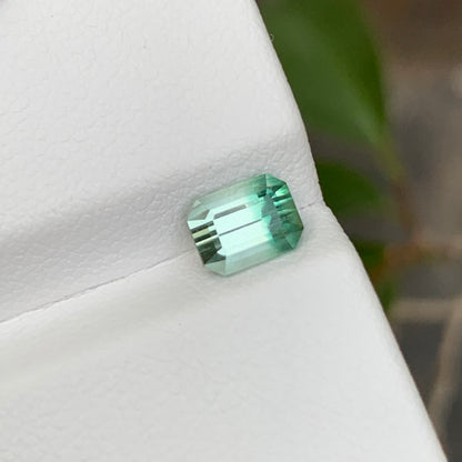 Bicolor Tourmaline Stone
