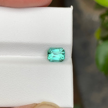 Seafoam Tourmaline Stone