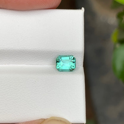 Seafoam Tourmaline Stone