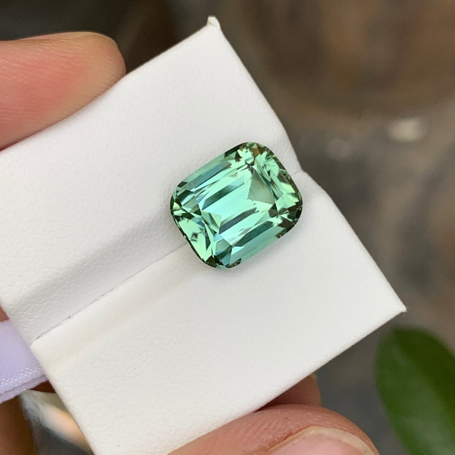 Seafoam Tourmaline Stone