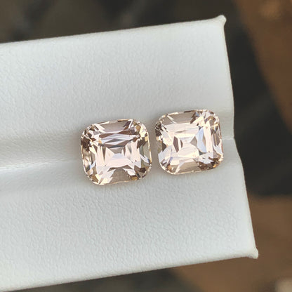 Morganite Pair Cushion Cut