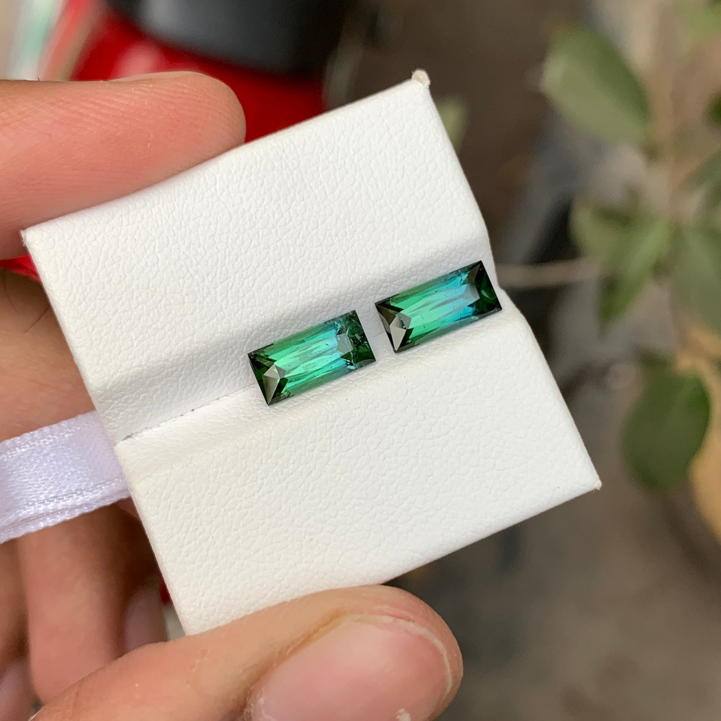 Tourmaline Pair Bluish Green