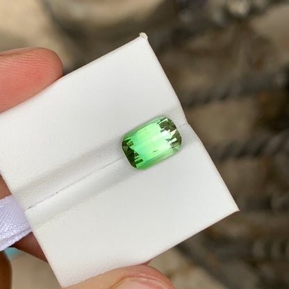 Bright Bicolor Tourmaline