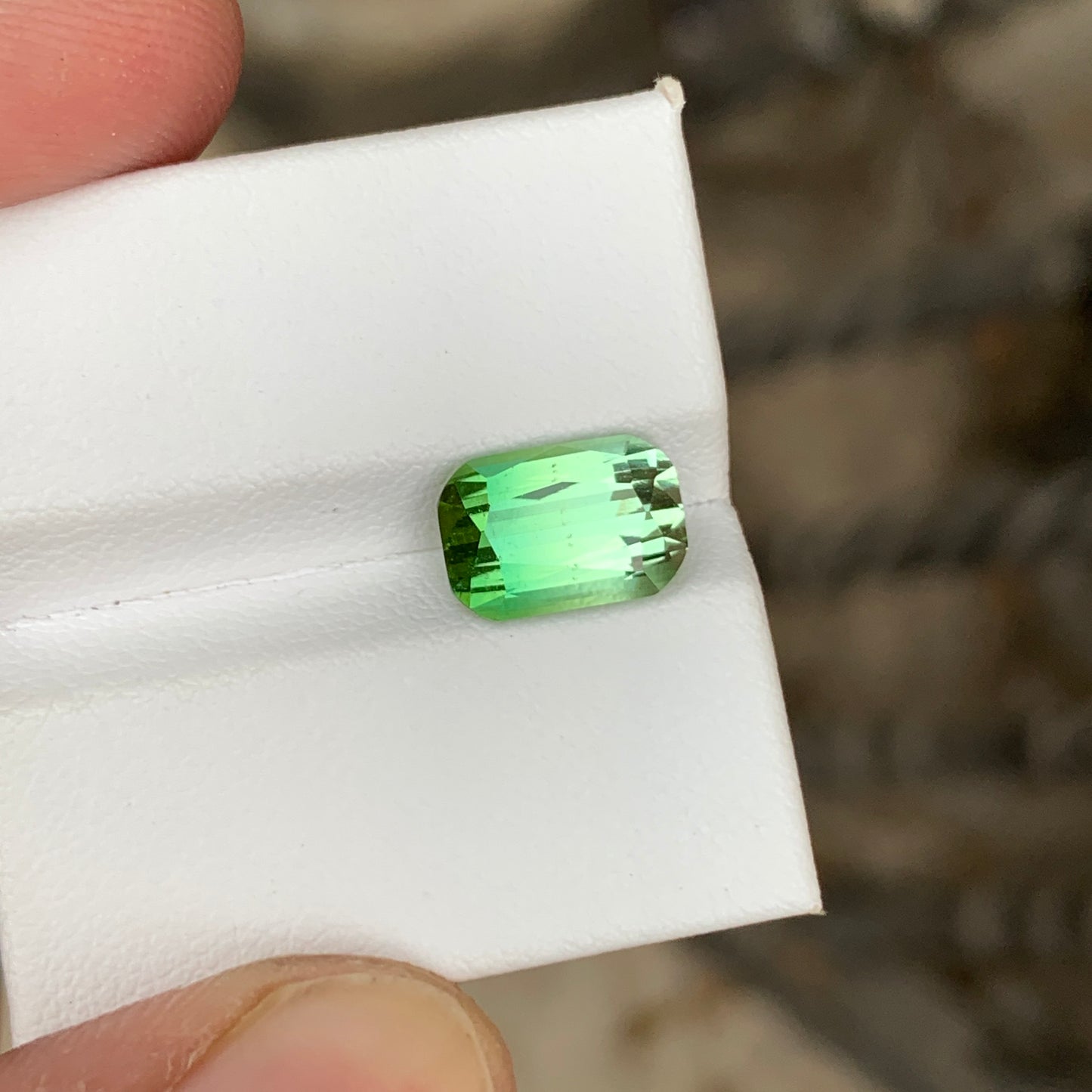 Bright Bicolor Tourmaline