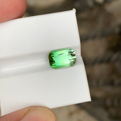 Bright Bicolor Tourmaline
