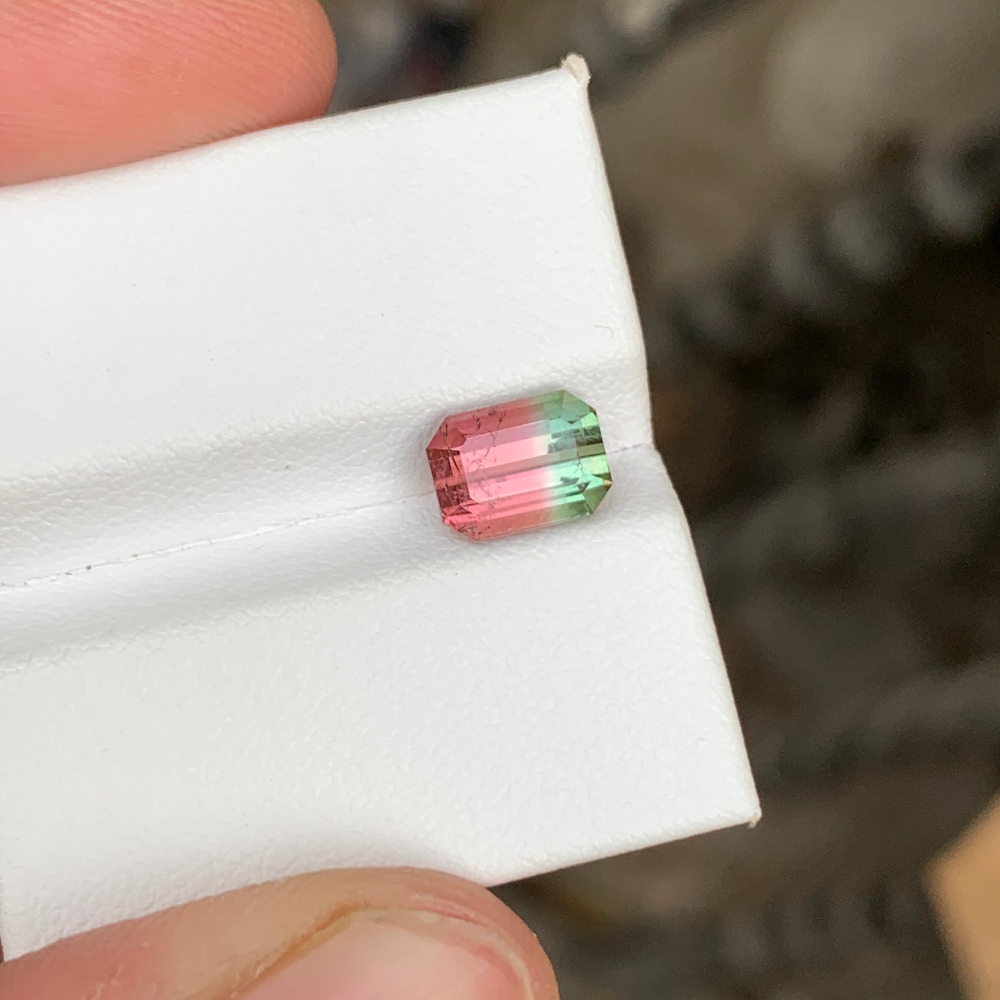 Watermelon Bicolor Tourmaline