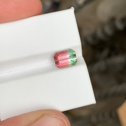 Watermelon Bicolor Tourmaline