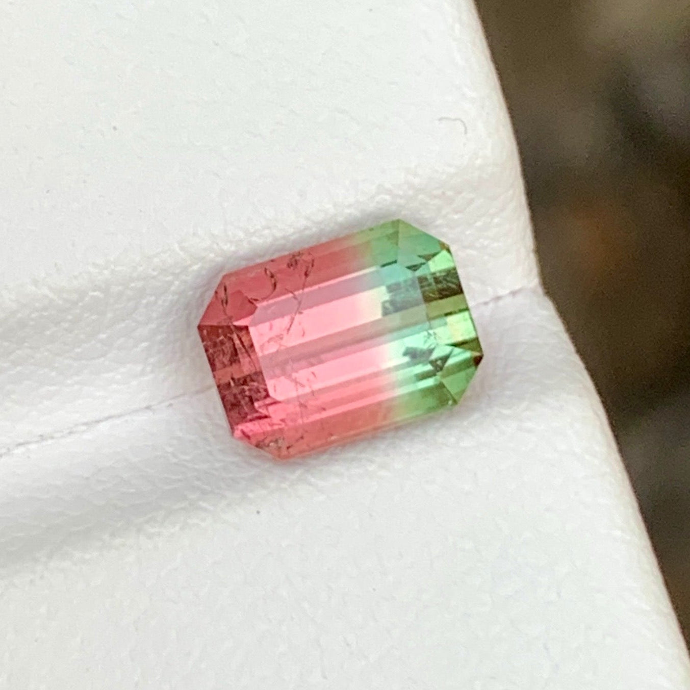 Tourmaline Watermelon Bicolor