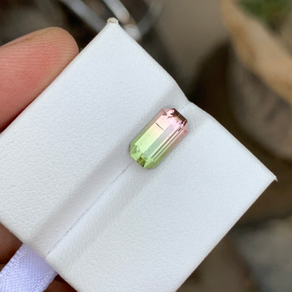 2.25 Ct Watermelon Bicolor Tourmaline | Natural Loose Tourmaline Gemstone