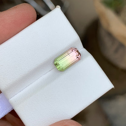 2.25 Ct Watermelon Bicolor Tourmaline | Natural Loose Tourmaline Gemstone