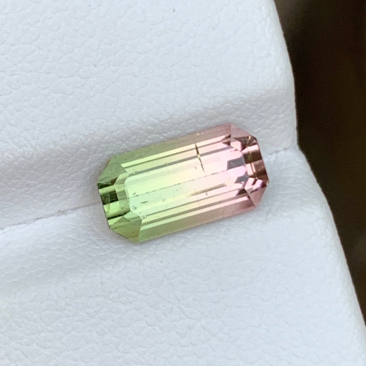 Watermelon Bicolor Tourmaline