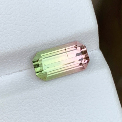 Watermelon Bicolor Tourmaline