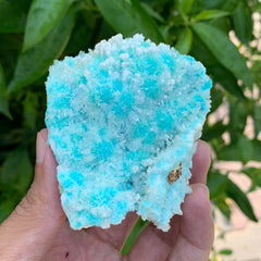 Natural Aragonite Calcite Mineral Specimen | Kharan Balochistan