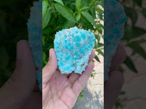 Natural Aragonite Calcite Mineral Specimen | Kharan Balochistan